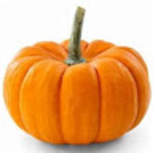 Meet your Posher, Jen